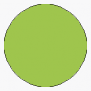 Face Paint Lime Green 18ml